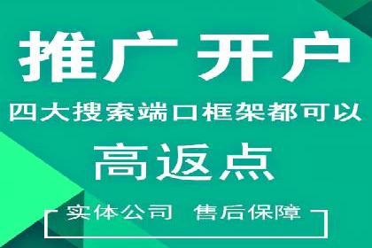 某sem代运营公司助力小企业逆袭大市场